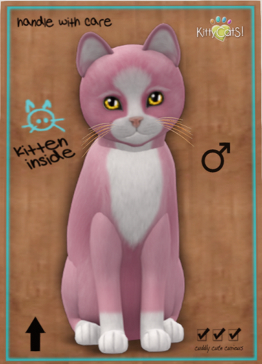 KittyCatS Box - Chateau Cat - Pink & White No. 1
