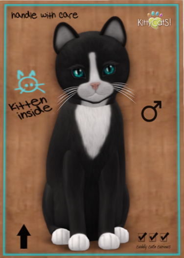 KittyCatS Box - Chateau Cat - Slate & White No. 1