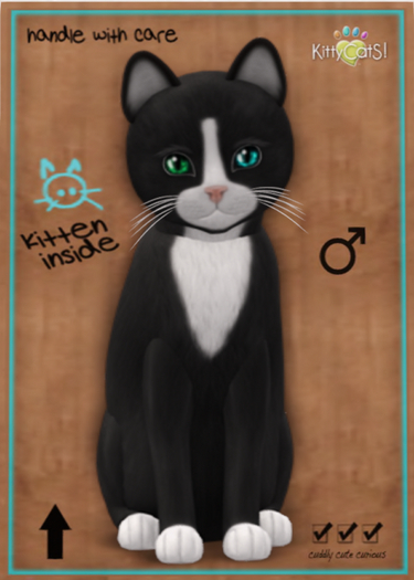 KittyCatS Box - Chateau Cat - Slate & White No. 1