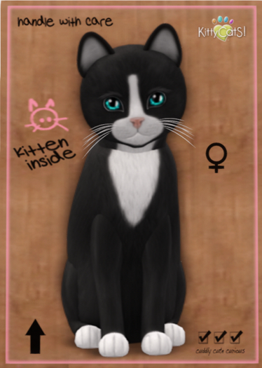 KittyCatS Box - Chateau Cat - Slate & White No. 1