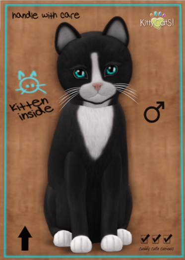 KittyCatS Box - Chateau Cat - Slate & White No. 1