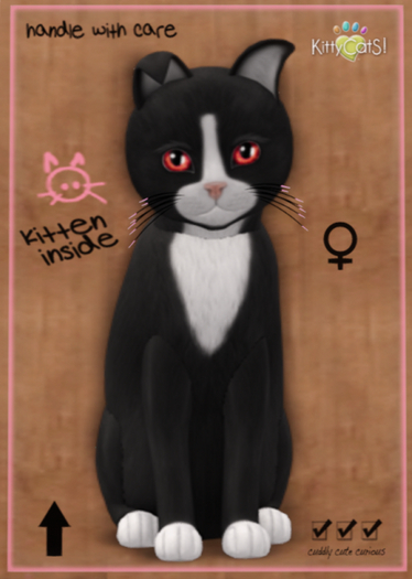 KittyCatS Box - Chateau Cat - Slate & White No. 1