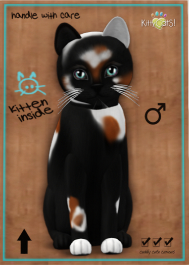 KittyCatS Box - Chateau Cat - 3 Spot No. 2