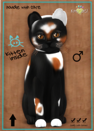 KittyCatS Box - Chateau Cat - 3 Spot No. 2 - Petite