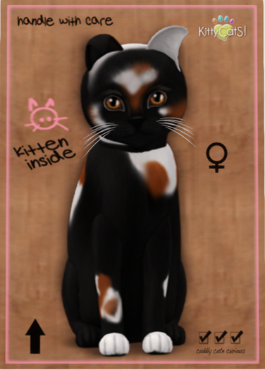 KittyCatS Box - Chateau Cat - 3 Spot No. 2