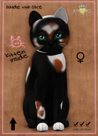 KittyCatS Box - Chateau Cat - 3 Spot No. 2