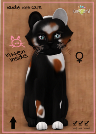 KittyCatS Box - Chateau Cat - 3 Spot No. 2