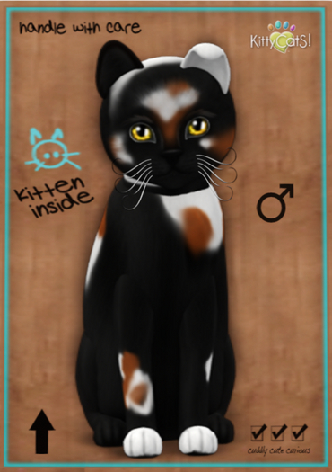 KittyCatS Box - Chateau Cat - 3 Spot No. 2