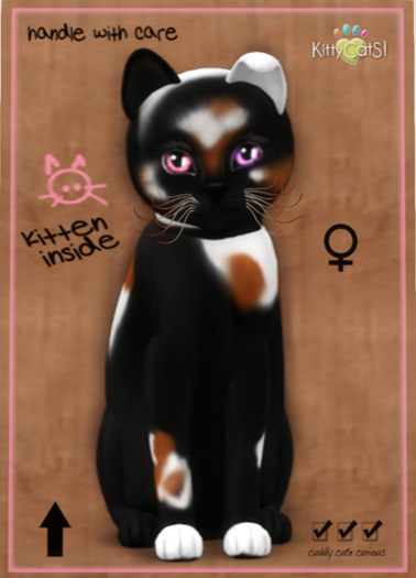 KittyCatS Box - Chateau Cat - 3 Spot No. 2