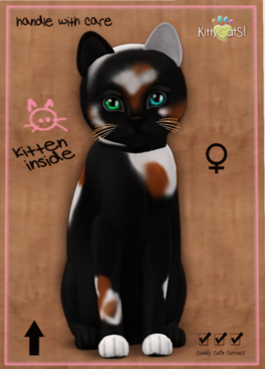 KittyCatS Box - Chateau Cat - 3 Spot No. 2