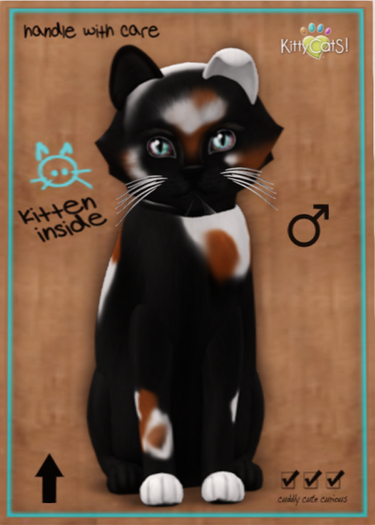 KittyCatS Box - Chateau Cat - 3 Spot No. 2