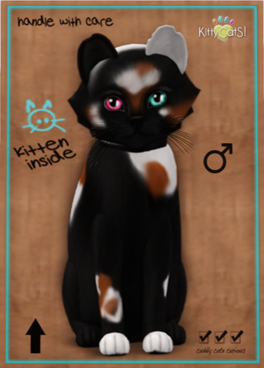 KittyCatS Box - Chateau Cat - 3 Spot No. 2