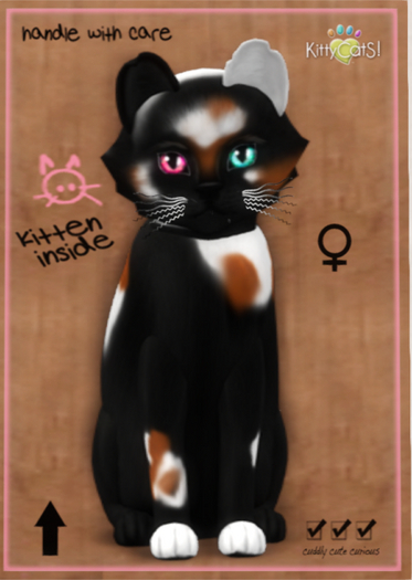 KittyCatS Box - Chateau Cat - 3 Spot No. 2