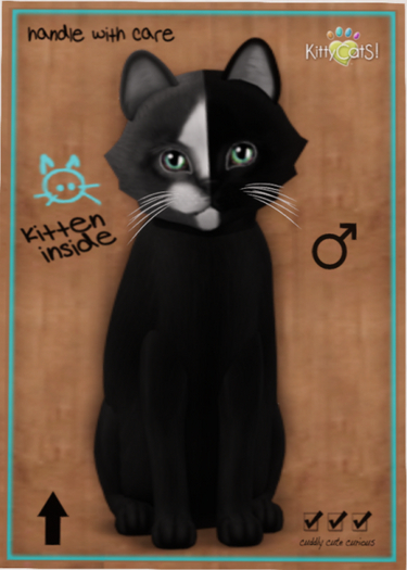KittyCatS Box - Chimera - Black Grey