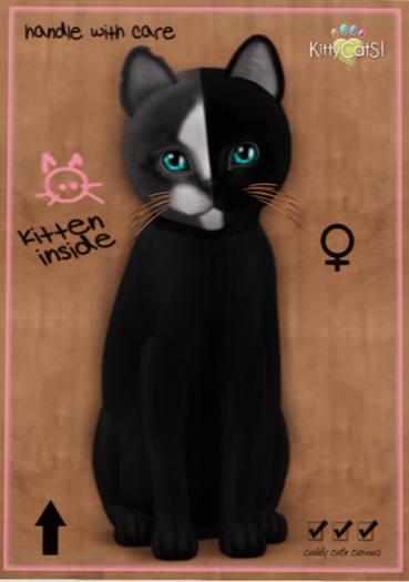 KittyCatS Box - Chimera - Black Grey