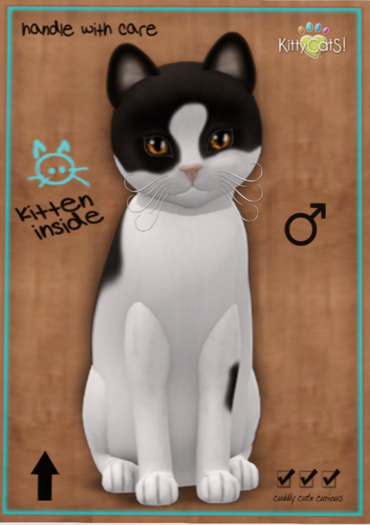 KittyCatS Box - Chateau Cat - Cocoa & White No. 2