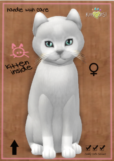 KittyCatS Box - Pandie - Fog - Teacup