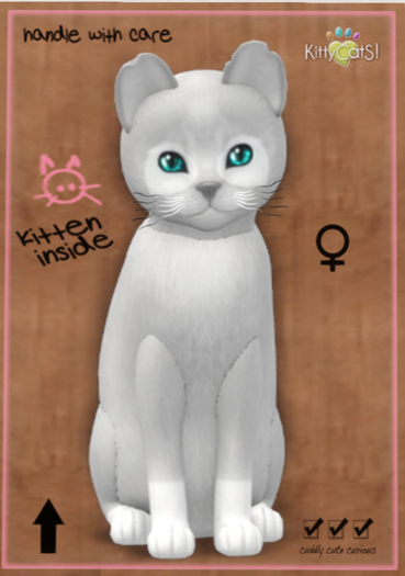 KittyCatS Box - Pandie - Fog