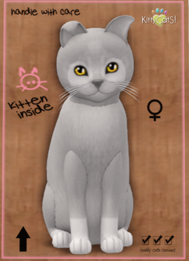 KittyCatS Box - Pandie - Fog