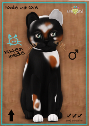 KittyCatS Box - Chateau Cat - 3 Spot No. 2