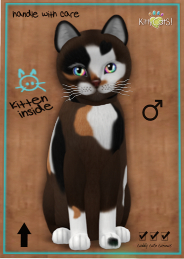 KittyCatS Box - Genesis - Patch II - Petite