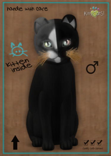 KittyCatS Box - Chimera - Black Grey 9T (male)