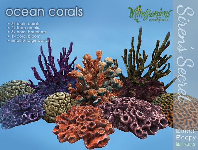 Siren's Secret Ocean Corals - Perfect for your underwater ocean garden!