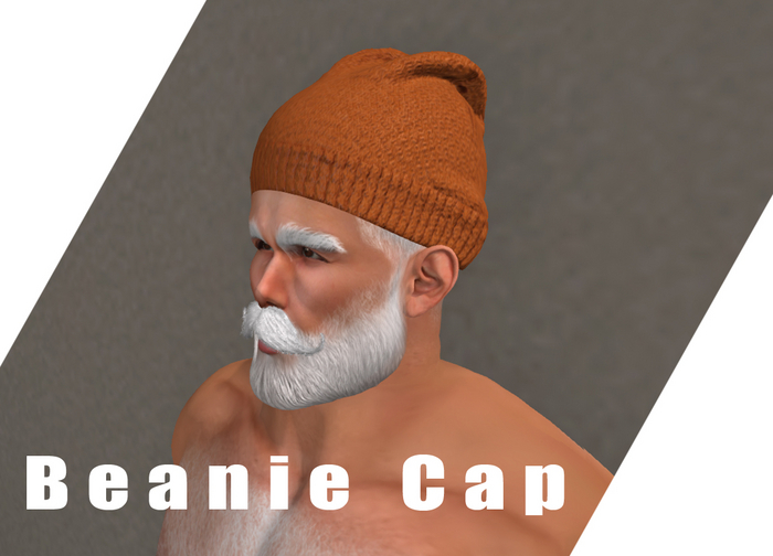Beanie Cap - High LOD & Quality Details [ 2025 ] ( Winter Hat, Furry, Unisex, Fashion ) >>> Promo <<<