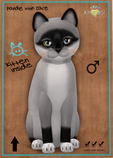 KittyCatS Box - Foxie - Salt & Pepper Mask