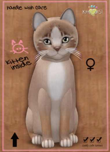 KittyCatS Box - Genesis - Mocha II