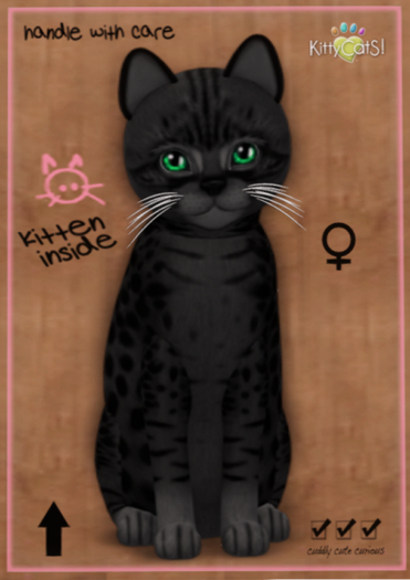 KittyCatS Box - Ocicat - Black