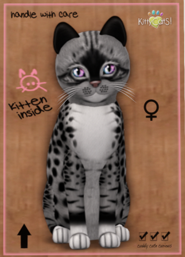 KittyCatS Box - Genesis - Bandit II - Bigger de Big