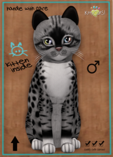 KittyCatS Box - Genesis - Bandit II - Teacup