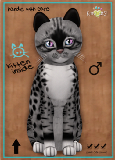 KittyCatS Box - Genesis - Bandit II - Teacup