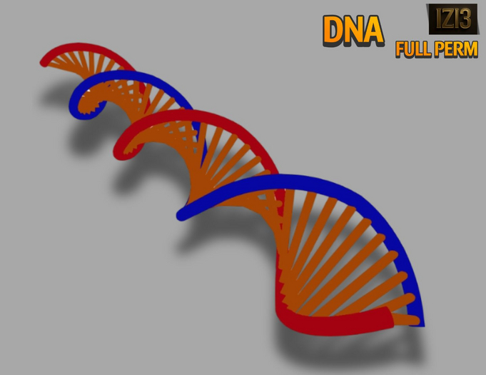 Mesh DNA Model - Full Perm