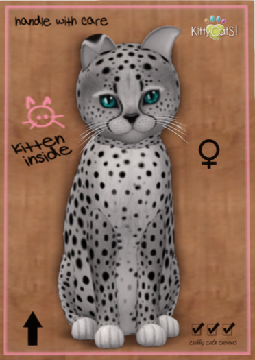 KittyCatS Box - Cheetah! - Silver