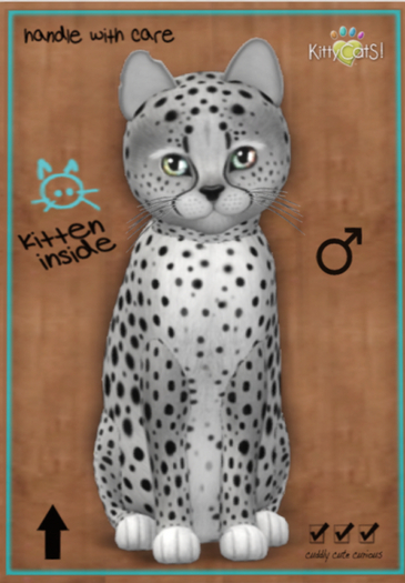 KittyCatS Box - Cheetah! - Silver