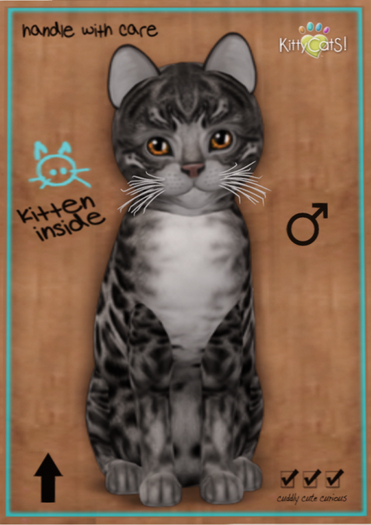 KittyCatS Box - Bengal - Charcoal