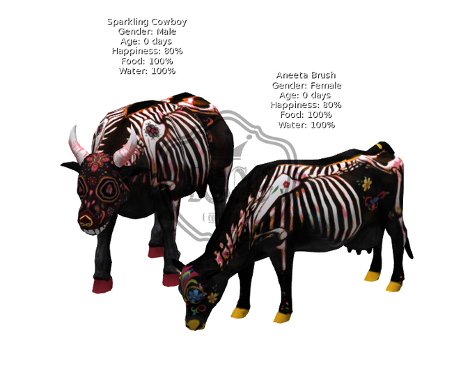 2020 HW Bull/Cow Pair