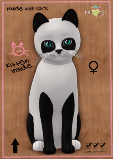 KittyCatS Box - Pandie - Ebony & Ivory