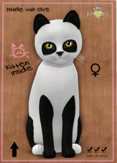 KittyCatS Box - Pandie - Ebony & Ivory