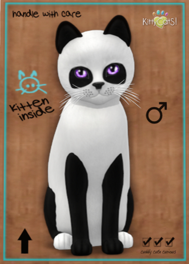 KittyCatS Box - Pandie - Ebony & Ivory