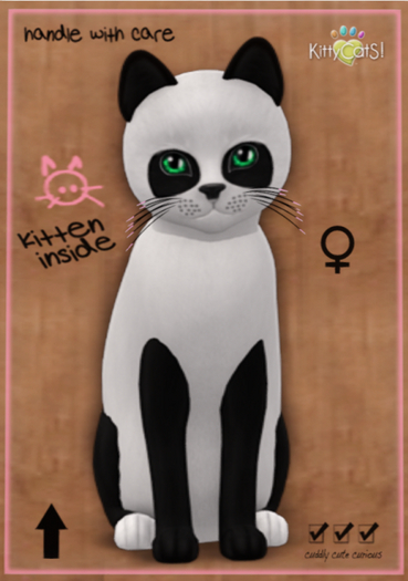 KittyCatS Box - Pandie - Ebony & Ivory