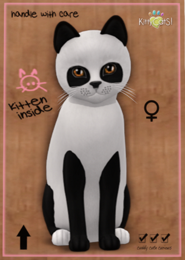 KittyCatS Box - Pandie - Ebony & Ivory