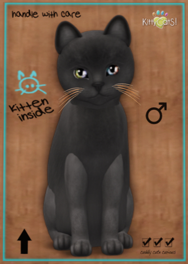 KittyCatS Box - Russian - Blue - Petite