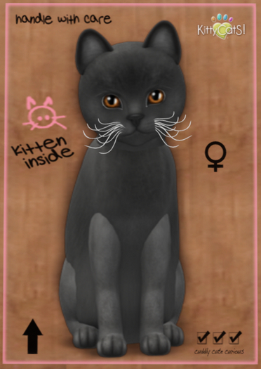 KittyCatS Box - Russian - Blue