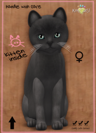 KittyCatS Box - Russian - Blue