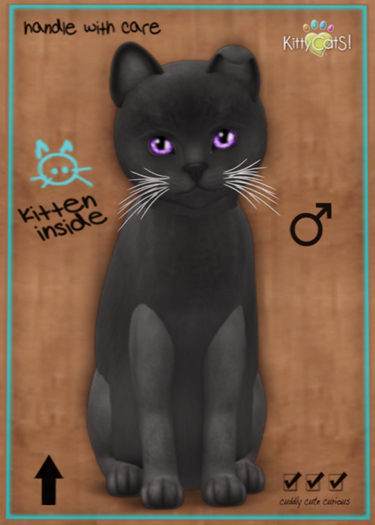 KittyCatS Box - Russian - Blue