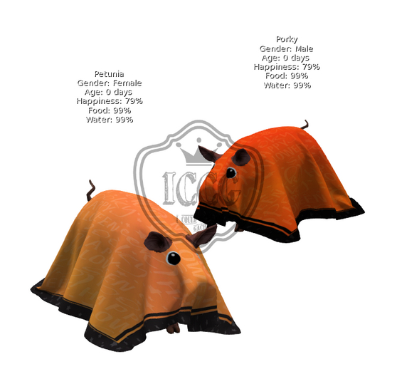 DFS FSB#30 HW Spooky Pigs Pair