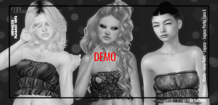 .:.Pariah.:. Copacetic Peasant Top DEMO